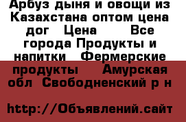 Арбуз,дыня и овощи из Казахстана оптом цена дог › Цена ­ 1 - Все города Продукты и напитки » Фермерские продукты   . Амурская обл.,Свободненский р-н